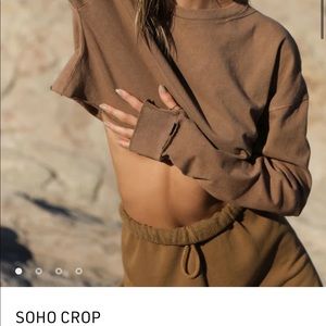 Joah Brown Soho Crop in GRAY!! One size